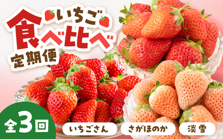 【先行予約 2027年1月〜発送】【3回定期便】いちご 3品種食べ比べ いちご