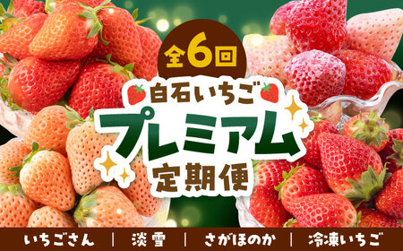 先行予約 2027年1月～発送 【6回定期便】プレミアム！ いちご食べ比べ /  いちご [IAP023]