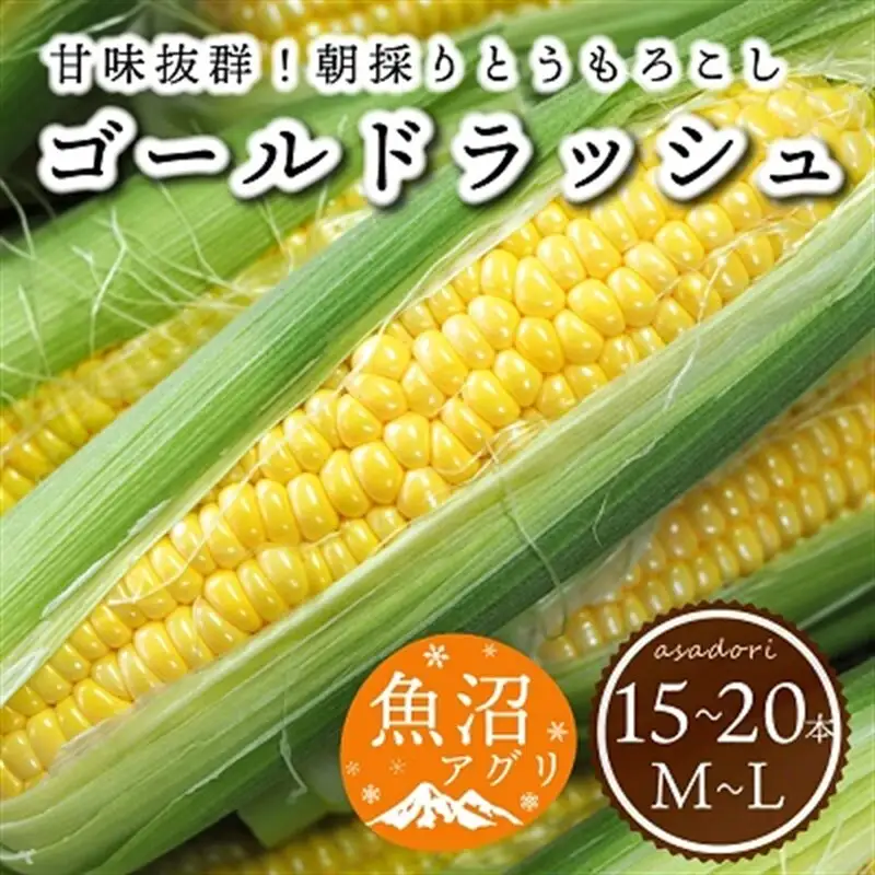 魚沼産 朝採り とうもろこし ゴールドラッシュ 15本～20本 野菜 新潟県産 夏野菜 バーベキュー おやつ 