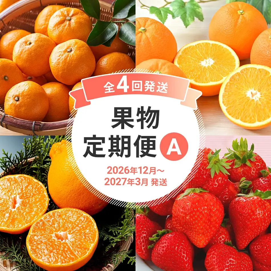 定期便 果物定期便A 4回発送 みかん 山見阪ネーブル デコポン 博多あまおう 定期発送 果物 くだもの フルーツ 柑橘 イチゴ 送料無料 【2026年12月～2027年3月発送】