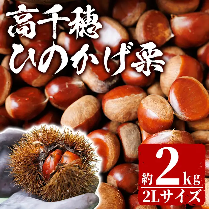 ＜数量限定・期間限定＞ ひのかげ栗(2kg)【NK001】【宮崎県農業協同組合　高千穂地区本部】