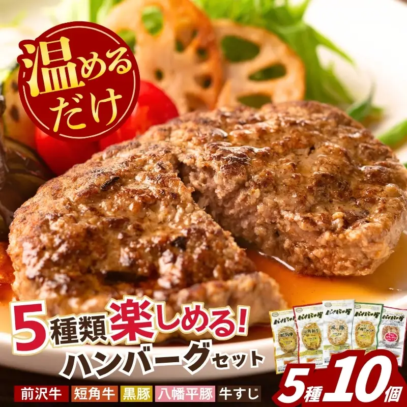 岩手のハンバーグ 5種×2  計10個  株式会社カナンフーズ kanan002_01