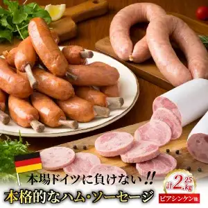 本場ドイツに負けないハム・ソーセージ〃ビアシンケン他2.25kg・通_29369A