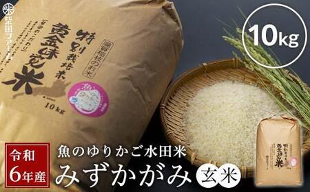 数量限定 令和6年産（新米）滋賀県認証！魚のゆりかご水田米「みずかがみ」玄米10kg【柴田ファーム】