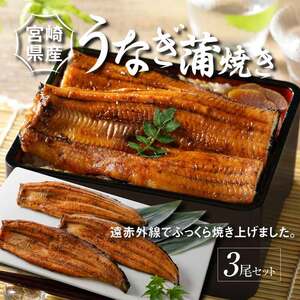 宮崎県産 うなぎ 蒲焼き 3尾セット K10_0009_3 