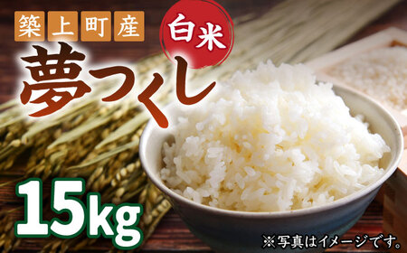 お米屋さんからお届けする「 夢つくし 」15kg [ABBW005]