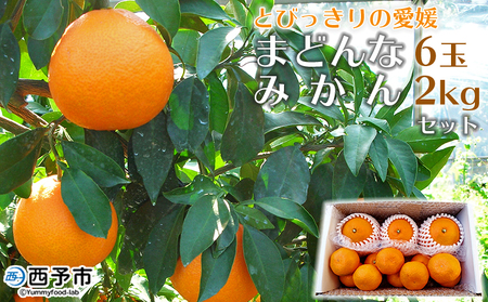 紅まどんなと同品種！＜とびっきりの愛媛 まどんな6玉＆温州みかん約2kgセット＞果物 柑橘 フルーツ マドンナ 愛媛果試第28号 ミカン 蜜柑 期間限定 特産品 産地直送 片山果樹園 西宇和 愛媛県 西予市【常温】『2025年12月中旬より順次発送予定』 MKK0001
