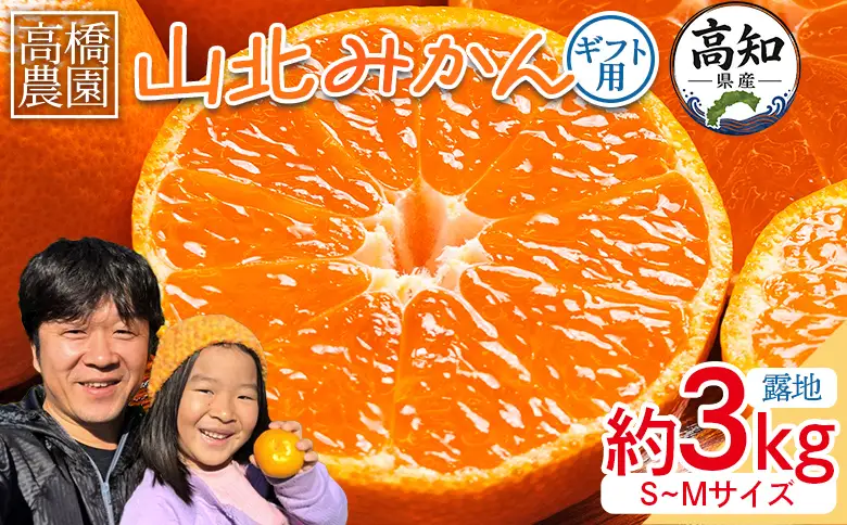 みかん 約3kg 小玉 みかん th-0028