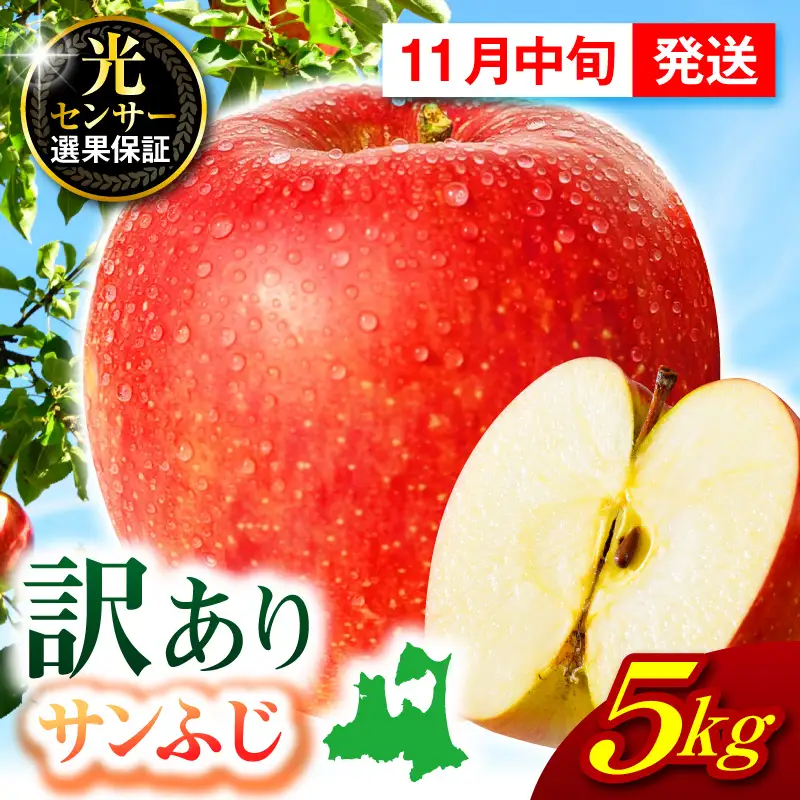 【2026年11月中旬発送】【訳あり】 りんご 約5kg サンふじ 青森 家庭用 りんご