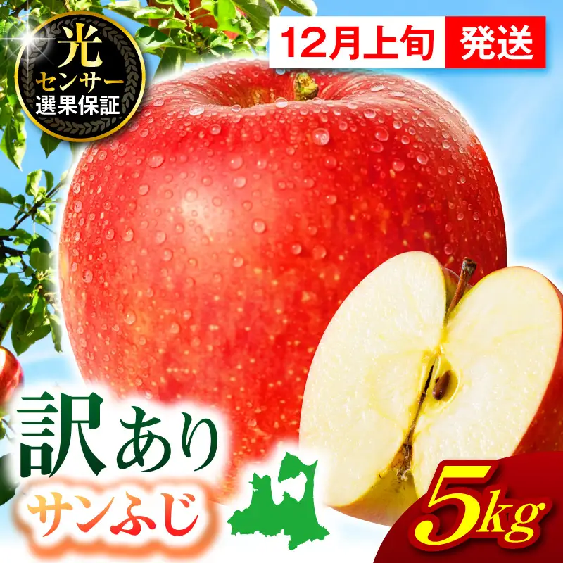 【2026年12月上旬発送】【訳あり】 りんご 約5kg サンふじ 青森 家庭用 りんご