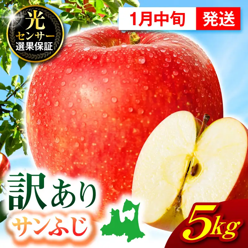 【2027年1月中旬発送】【訳あり】 りんご 約5kg サンふじ 青森 家庭用 りんご