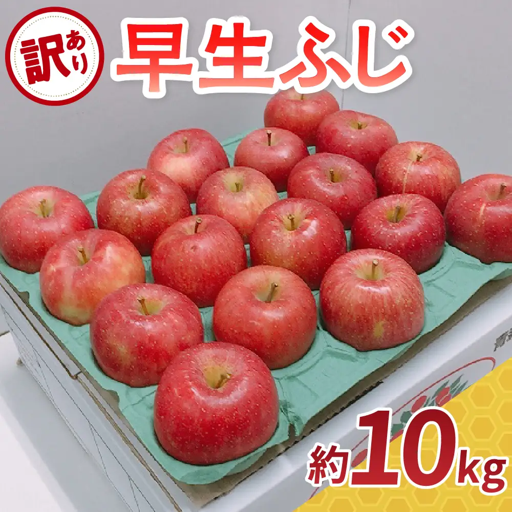 【2026年10月発送】 りんご 約10kg 訳あり 早生ふじ 青森県産 りんご
