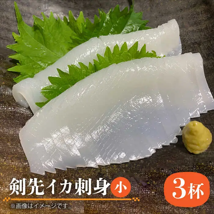 剣先イカ 刺身 （小） 3杯  [JEW002] イカ
