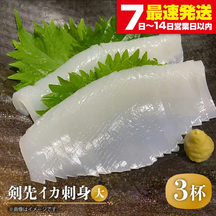 剣先イカ 刺身 （大） 3杯[JEW004] イカ