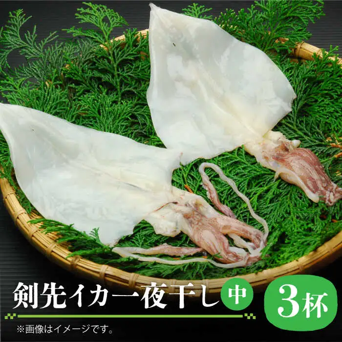 剣先イカ 一夜干 （中） 3杯 《壱岐市》【株式会社マルショウ】 いか 剣先いか セット おつまみ 一夜干し [JEW006] 17000 17000円 のし ギフト