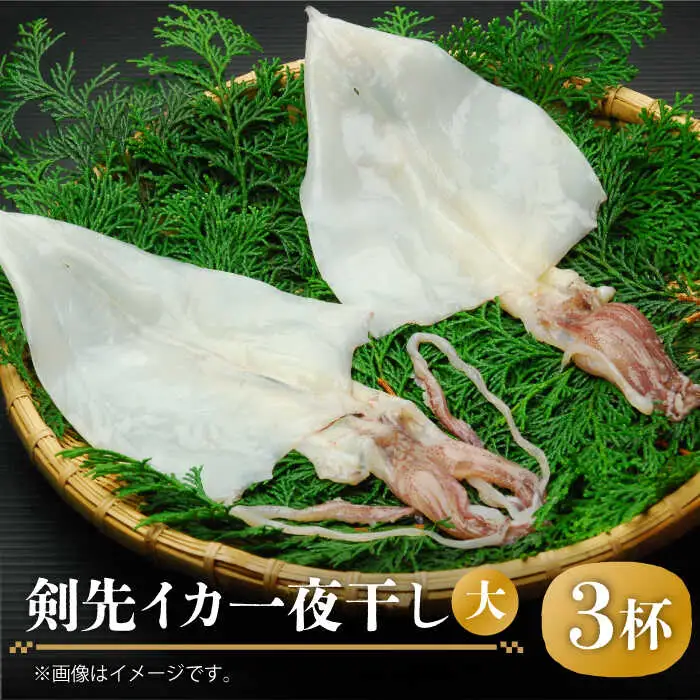 剣先イカ 一夜干 （大） 3杯 《壱岐市》【株式会社マルショウ】 いか 剣先いか セット おつまみ 一夜干し [JEW007] 20000 20000円 のし ギフト