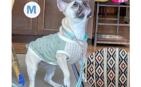 【中型犬用・Mサイズ】ハーフチョークカラーとリードのセット（ひし形＆ミント） ペット 用品 グッズ ビーグル 柴犬 ボーダーコリー フレンチブルドッグ 強い力 気管支 痛めない 抜けない 訓練 