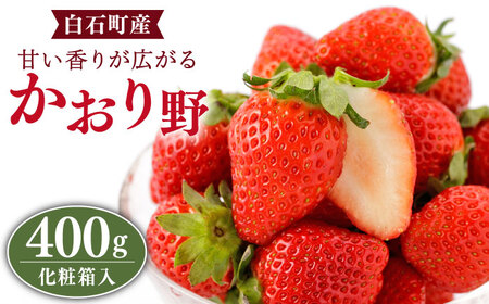 先行予約 2027年1月〜発送 かおり野 400g（化粧箱入り） / いちご [IBJ005]