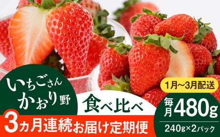 【先行予約 2027年1月～発送】 【3回定期便】かおり野＆いちごさん 定期便 いちご