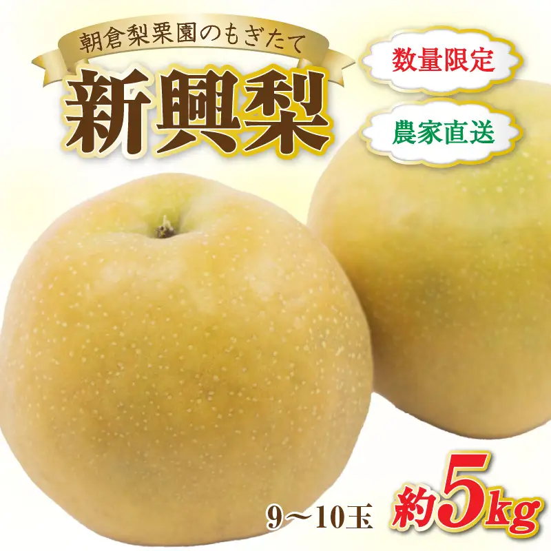 【先行予約】《数量限定》新興梨 9～10玉入 約5kg 歯ごたえ抜群！ もぎたて 新鮮 ／ 期間限定 果物 フルーツ 農家直送 お取り寄せ 新興 梨 なし 福井県 あわら市※2026年10月中旬より順次発送 [aw042-a002]