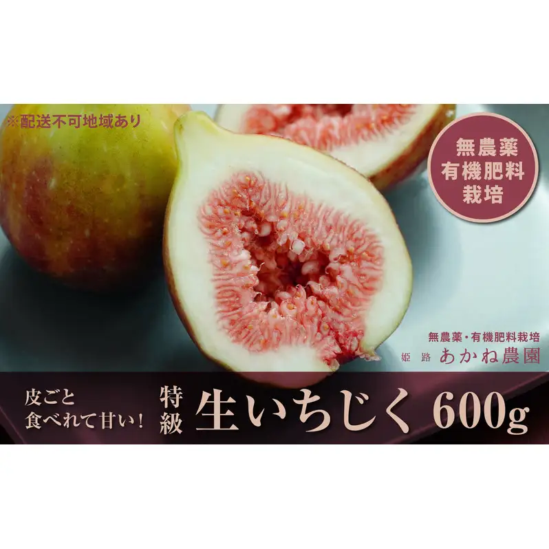 【栽培期間中 無農薬・有機肥料栽培】皮ごと食べれて甘い！あかね農園「 特級 生いちじく」約 600g