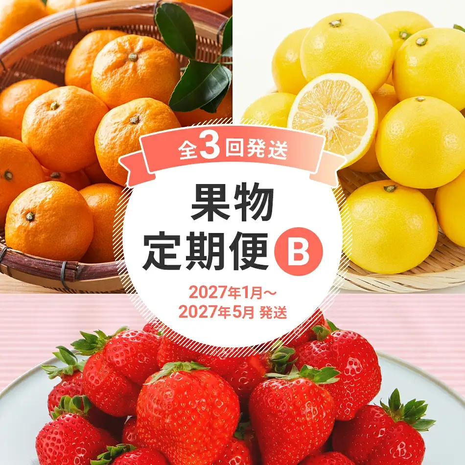 定期便 果物定期便B 3回発送 みかん 博多あまおう ニューサマーオレンジ 日向夏 定期発送 果物 くだもの フルーツ 柑橘 イチゴ 送料無料 【2027年1月～5月まで計3回お届け】