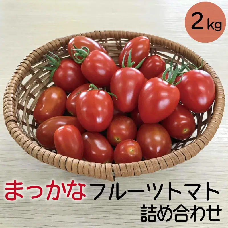 【先行予約】まっかなフルーツトマト詰め合わせ　2kg【完熟トマト 樹上完熟 野菜 ベジタブル 詰め合わせ 栄養 甘い こだわり サラダ 島根県 安来市】【12-MS-15】