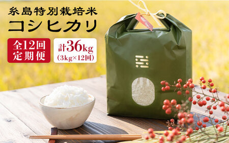 【全12回定期便】とくべつの中のとくべつ 糸島 特別栽培米 3kg （ コシヒカリ ）糸島市 / itoshimacco / 株式会社やました[ARJ022]