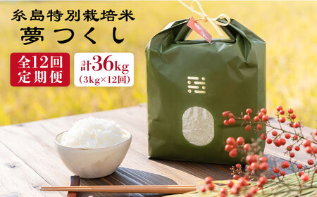 【全12回定期便】とくべつの中のとくべつ 糸島 特別栽培米 3kg （ 夢つくし ）《糸島》【itoshimacco / 株式会社やました】 [ARJ024]