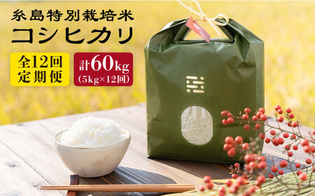 【全12回定期便】とくべつの中のとくべつ 糸島 特別栽培米 5kg （ コシヒカリ ）《糸島》【itoshimacco / 株式会社やました】 [ARJ026]