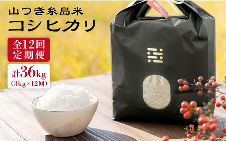 【全12回定期便】糸島 で 農薬 を使わずに育てた 山つき 糸島米 3kg （ コシヒカリ ）《糸島》【itoshimacco / 株式会社やました】 [ARJ030]