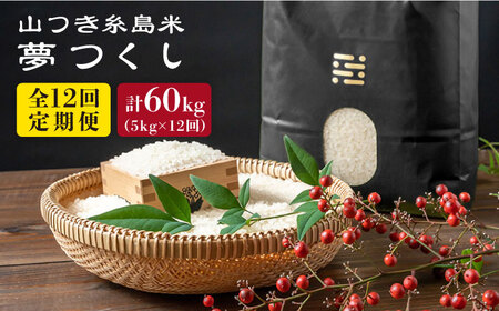 【全12回定期便】 糸島 で 農薬 を使わずに育てた 山つき 糸島米 5kg （ 夢つくし ）《糸島》【itoshimacco / 株式会社やました】 [ARJ034]