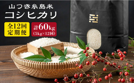 【全12回定期便】糸島 で 農薬 を使わずに育てた 山つき 糸島米 5kg （ コシヒカリ ）《糸島》【itoshimacco / 株式会社やました】 [ARJ036]