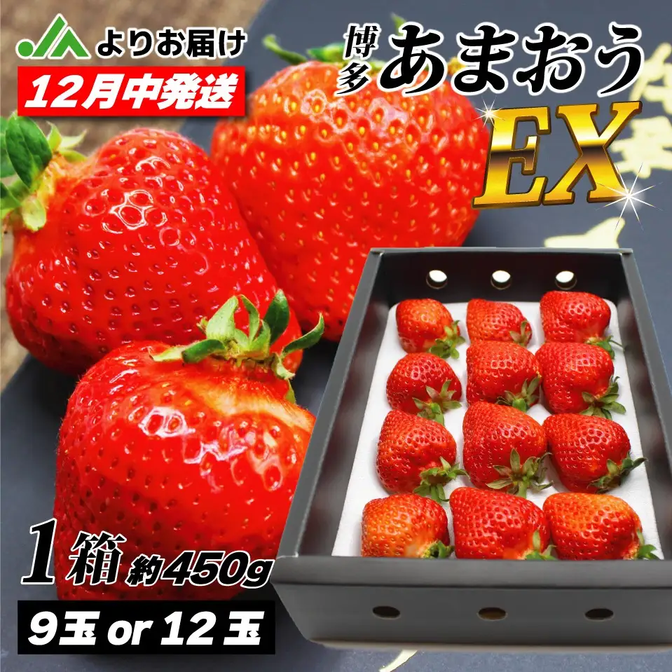 【先行予約】12月発送！「博多あまおう」EX　贈答用化粧箱　約450g 1箱【ほたるの里】_HA0754