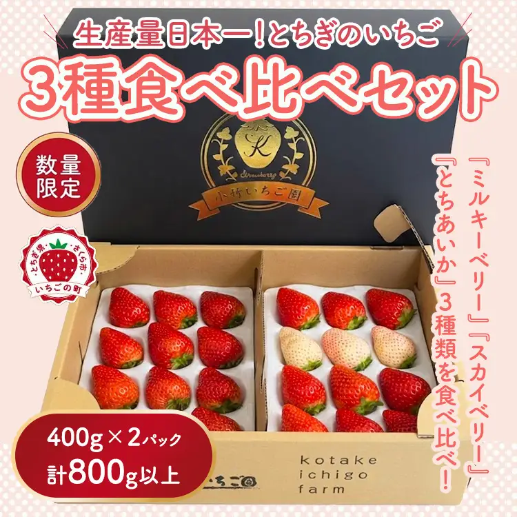 いちご 3種 食べ比べセット（ミルキーベリー、スカイベリー、とちあいか）400g×2パック 800g ※2027年1月～発送
