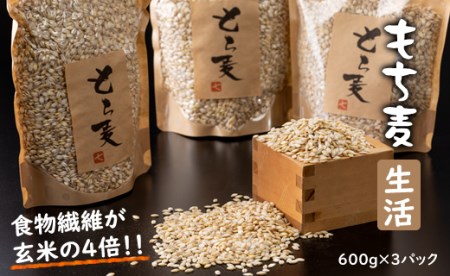 もち麦（600g×3パック）  B130-066