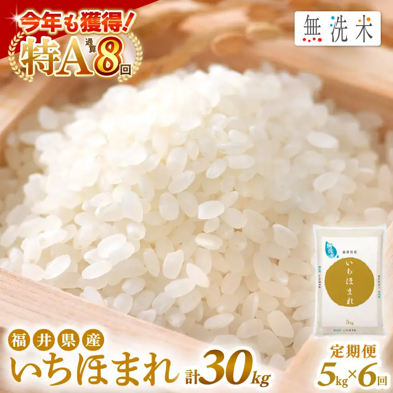 【6回定期便】無洗米 いちほまれ 5kg 特A 福井県 無洗 [e27-h005]
