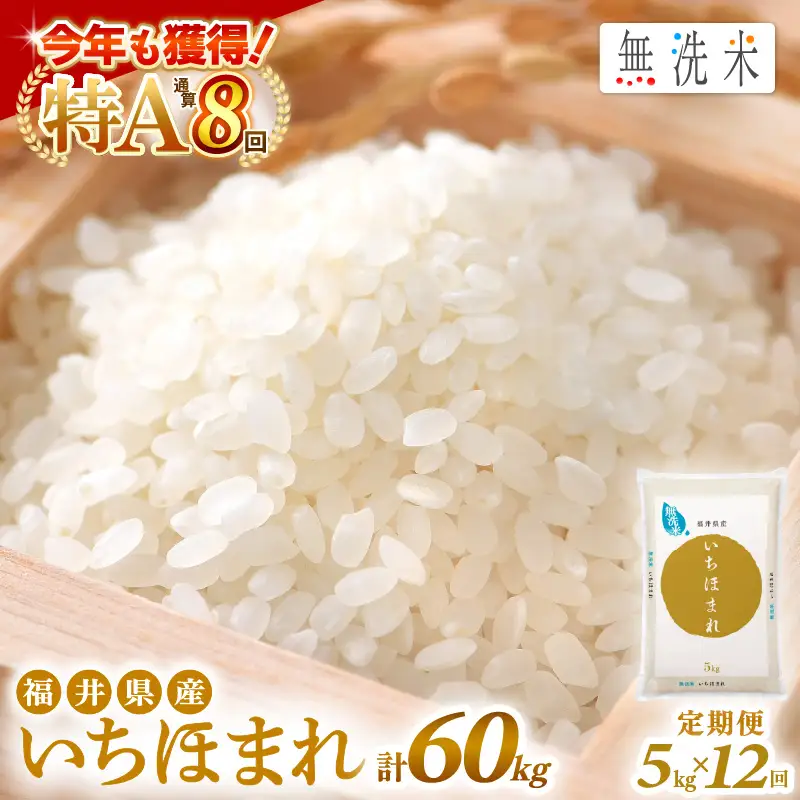 【12回定期便】無洗米 いちほまれ 5kg 特A 福井県 無洗 [e27-m003]