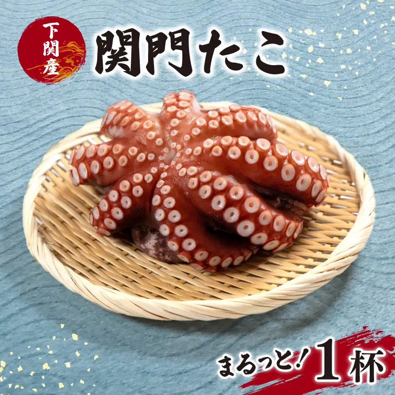 丸ごと関門たこ 1杯 瞬間冷凍まだこ (1㎏以上)  タコ EY