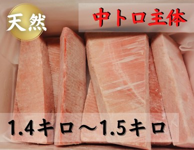【 中トロ 主体で1kg以上 】三崎の 天然 目鉢まぐろ M030-016 冷凍 マグロ