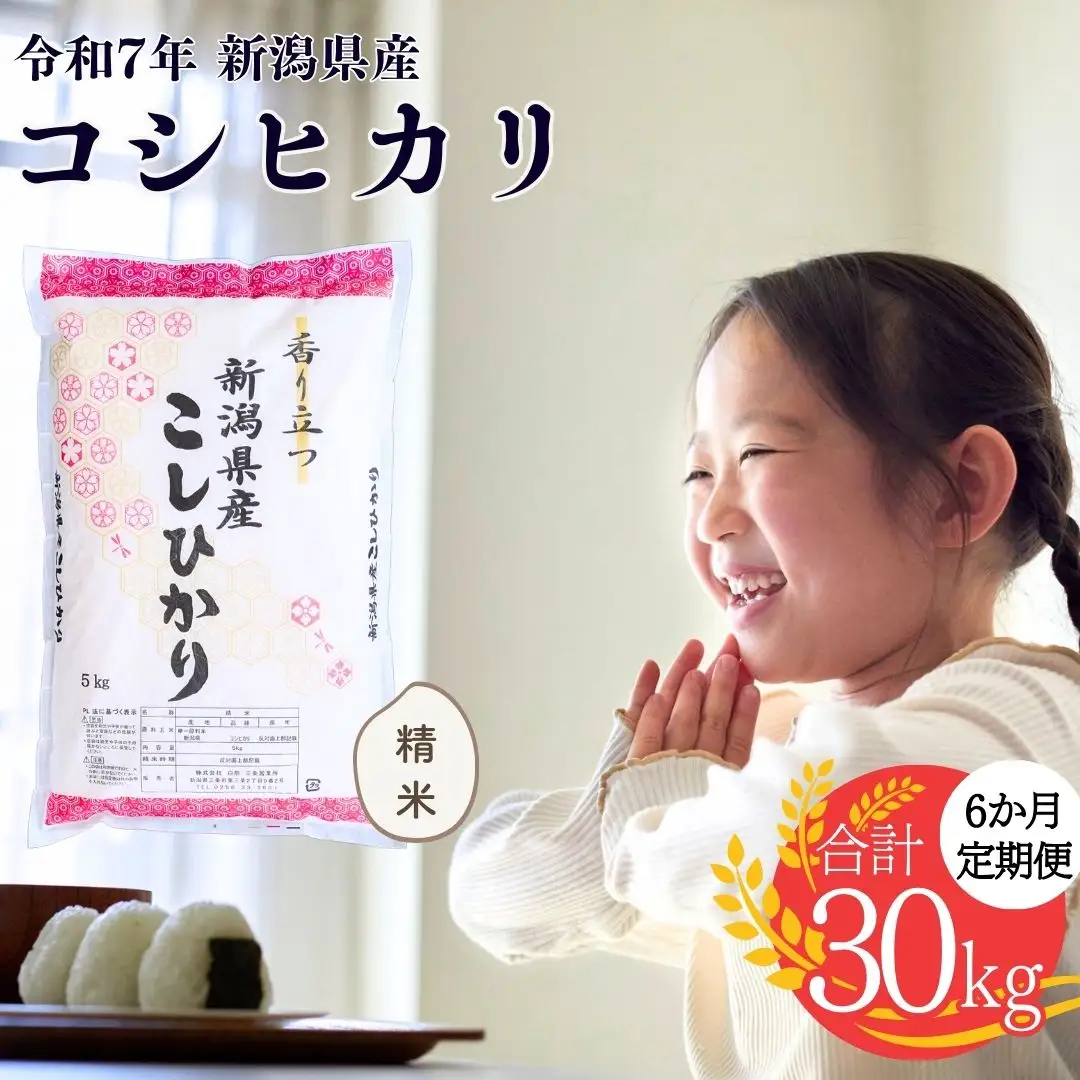 先行予約 コシヒカリ 定期便5kg×6か月 令和8年 新潟県 こしひかり 株式会社白熊