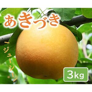 あきづき 3kg【やぶやフルーツガーデン】
