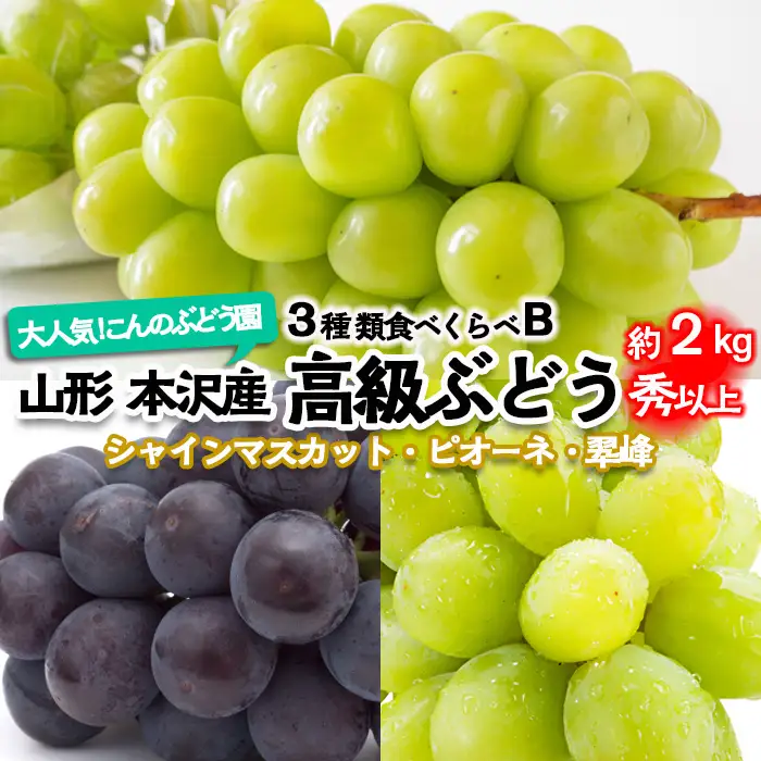 大人気！【こんのぶどう園】山形本沢産 高級ぶどう 3種食べくらべB 秀以上 約2kg 【令和8年産先行予約】FU22-338 くだもの 果物 フルーツ 山形 山形県 山形市 2026年産