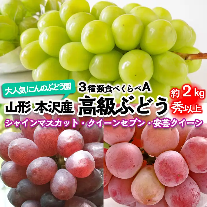 大人気！【こんのぶどう園】山形本沢産 高級ぶどう 3種食べくらべA 秀以上 約2kg 【令和8年産先行予約】FU22-339 くだもの 果物 フルーツ 山形 山形県 山形市 2026年産