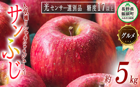 りんご サンふじ グルメ 5kg 最高級 最高ランク 糖度17度以上 光センサー選別品 ながの農業協同組合 2026年12月上旬頃から2026年12月下旬頃まで順次発送予定 令和8年度収穫分 信州 果物 フルーツ リンゴ 林檎 高級 特選 特秀 糖度保証 数量限定 長野 予約 長野県 飯綱町 [0337]