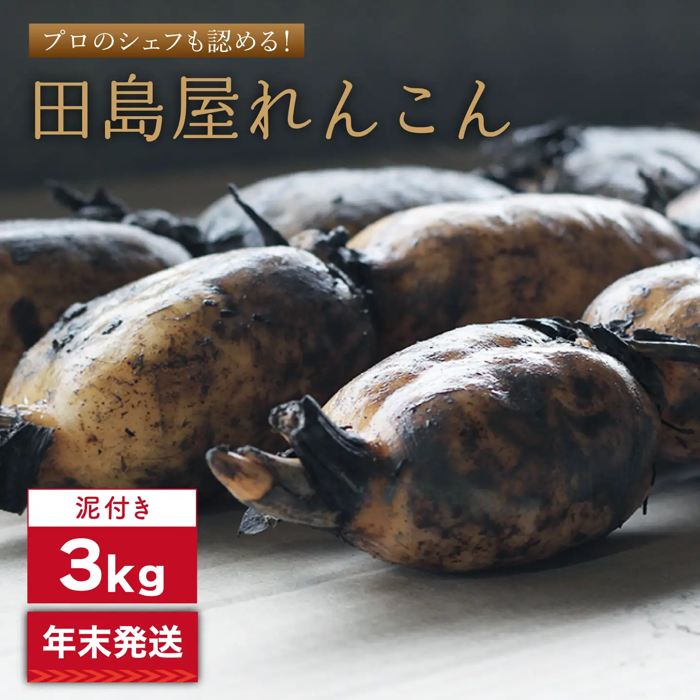 【2026年末発送/年内発送】れんこん（泥付き） 3kg れんこん