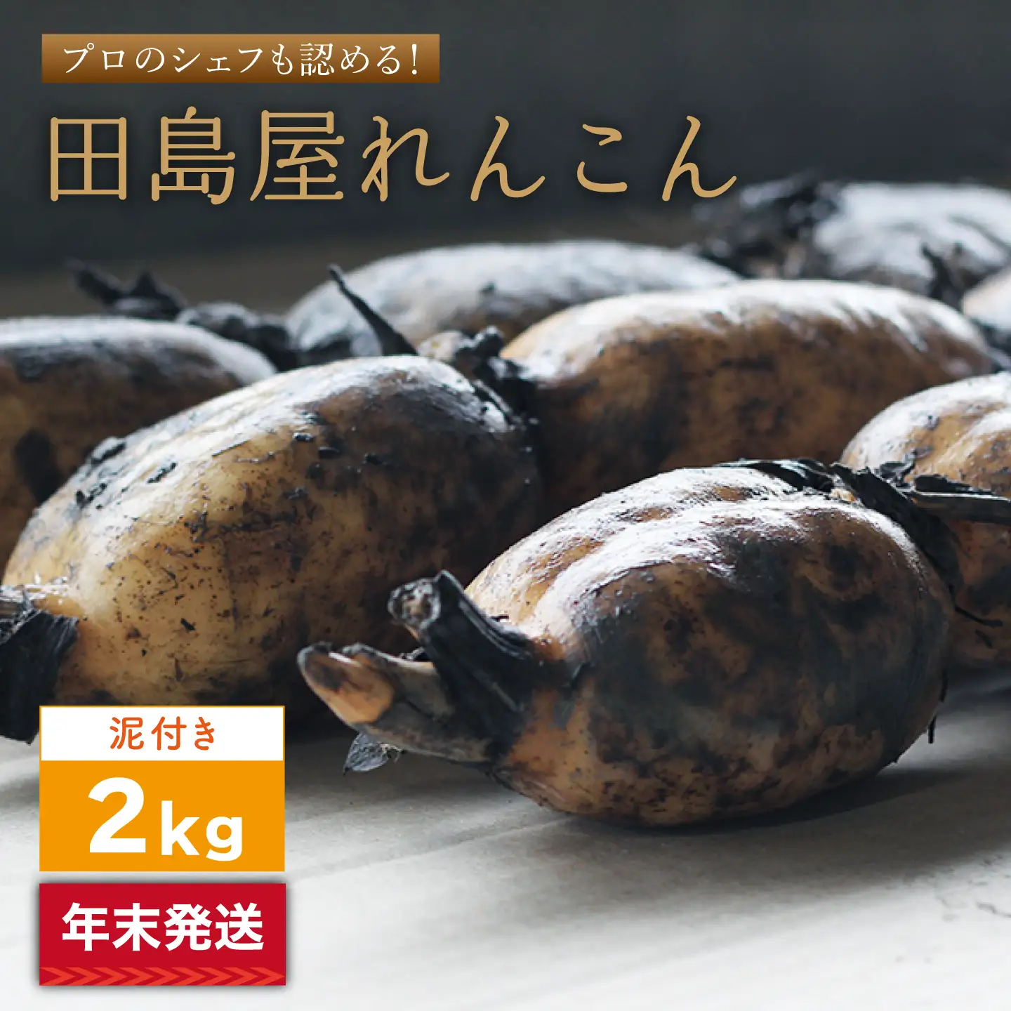 【2026年末発送/年内発送】れんこん（泥付き） 2kg れんこん