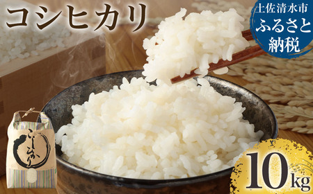 【先行予約】令和7年産 　新米　コシヒカリ精米10kg（1袋） 【R00355】