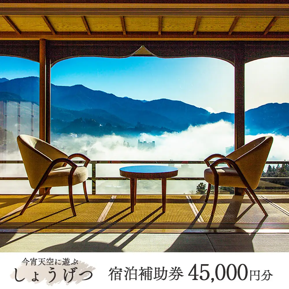 下呂温泉【今宵天空に遊ぶ しょうげつ】宿泊補助券（45,000円分）【a017-2】