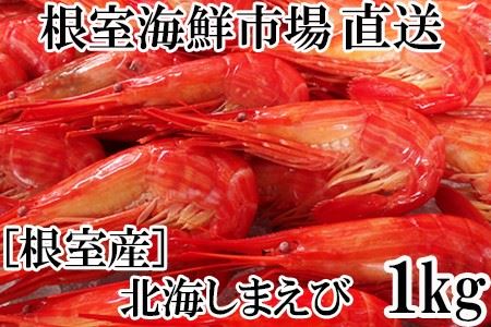 【北海道根室産】北海しまえび1kg B-14069